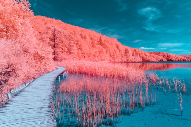 IND_Pantone_Colour-of-the-Year-2018_Coral-Landschaft_Klein